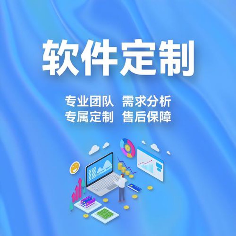 软件开发定制